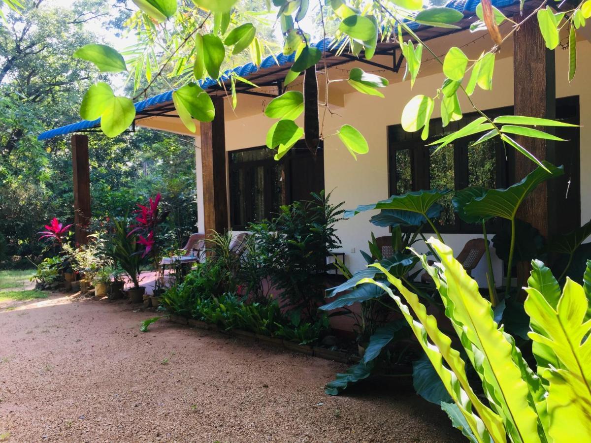 Gimansa Rest Sigiriya Daire Dış mekan fotoğraf